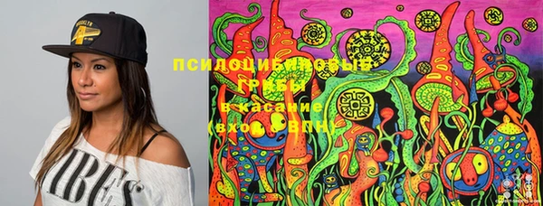 амф Осинники