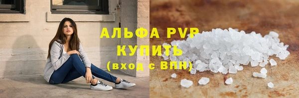 стаф Богородск