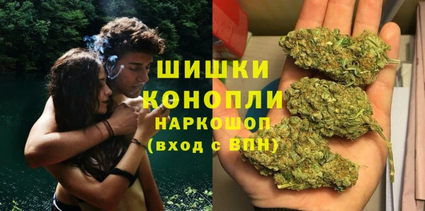 амф Осинники