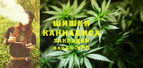 стаф Богородск