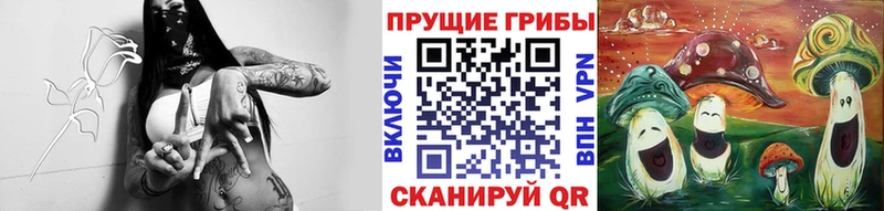 Псилоцибиновые грибы MAGIC MUSHROOMS  Дивногорск 